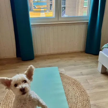 Дом отдыха Cliff